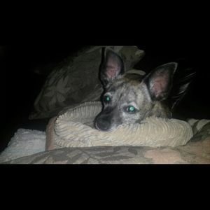 Meet your Posher, Kim